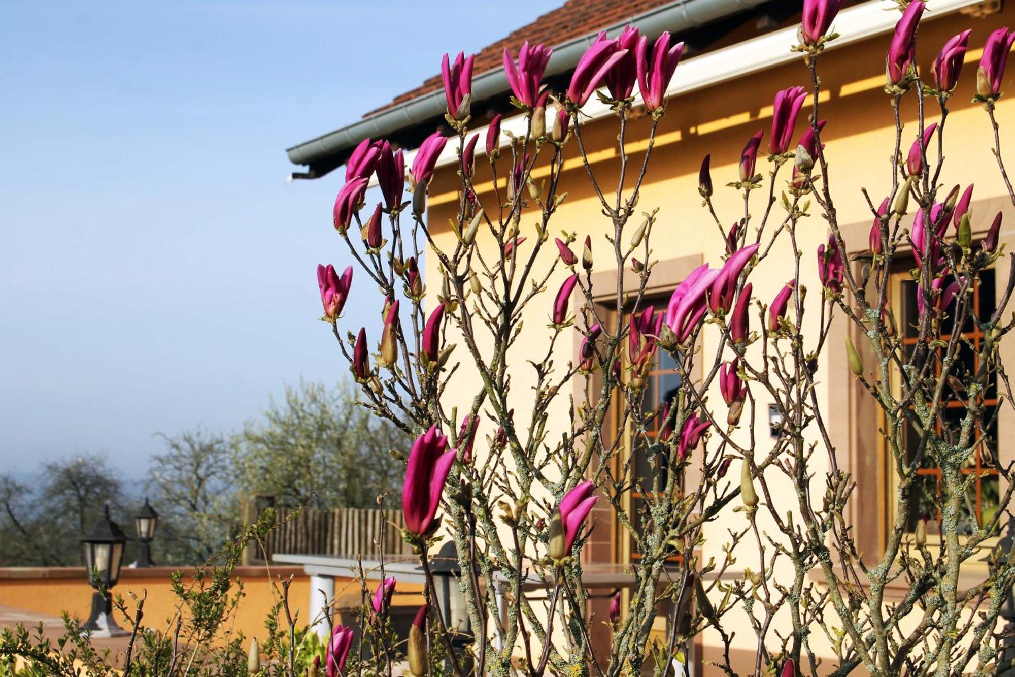Maison Villabella Butten Luaran gambar
